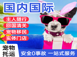 福州长乐航空快运国际宠物托运 【国
